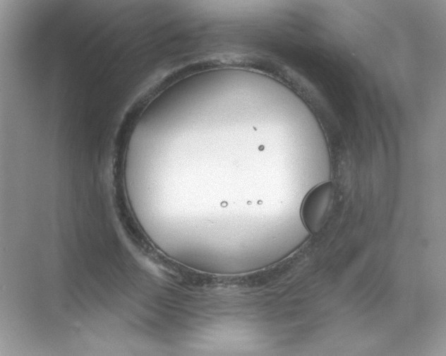 X0000068730730200605192318