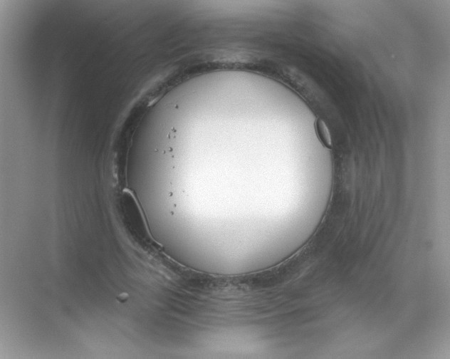 X0000068730731200605192318