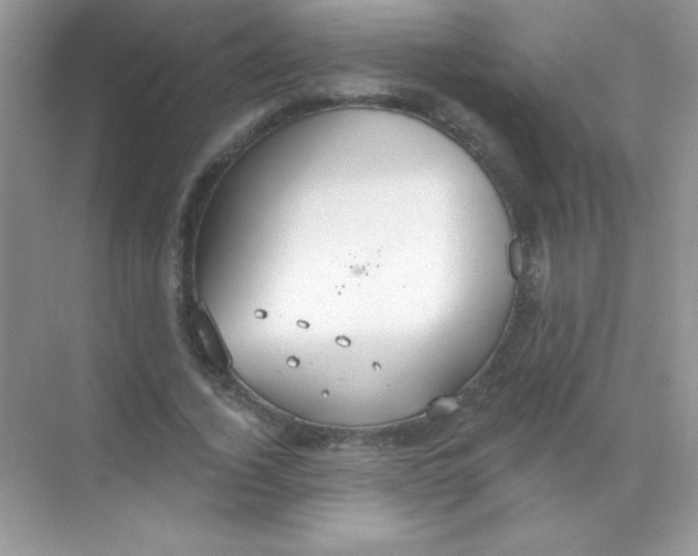 X0000068730732200605192318