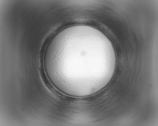 X0000068730734200605192318