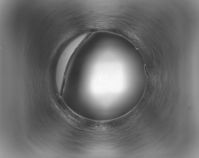 X0000068730735200605192318