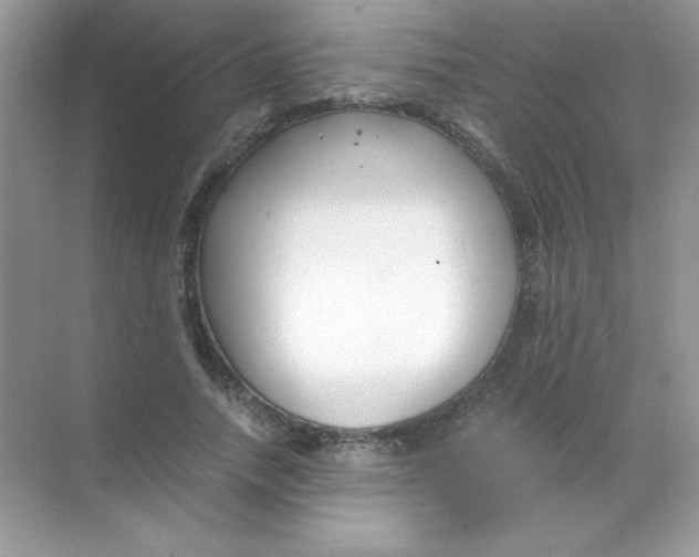 X0000068730738200605192318