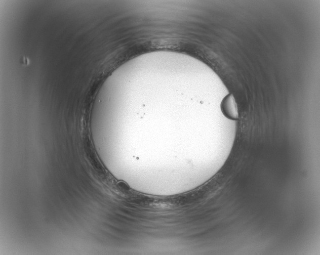 X0000068730741200605192318