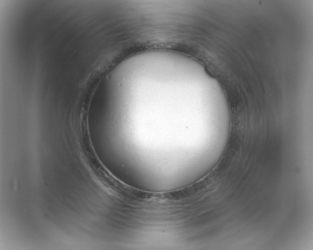 X0000068730742200605192319