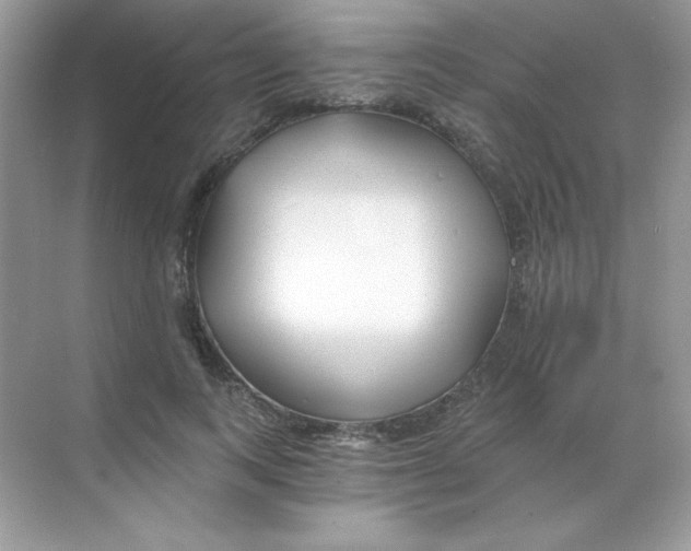 X0000068730743200605192319