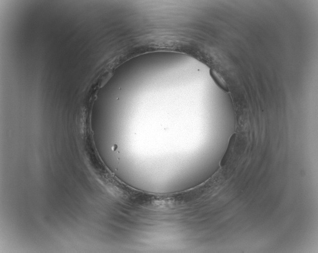 X0000068730744200605192319