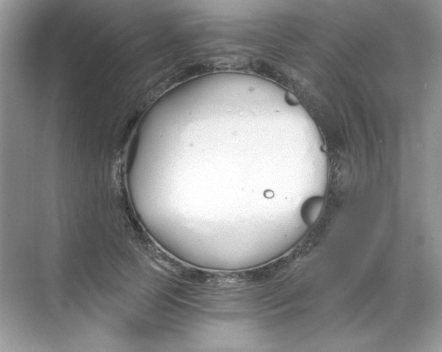 X0000068730745200605192319