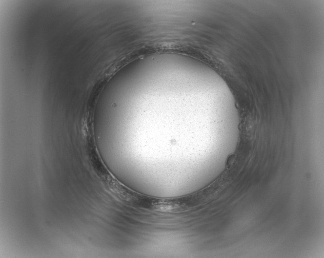 X0000068730746200605192319