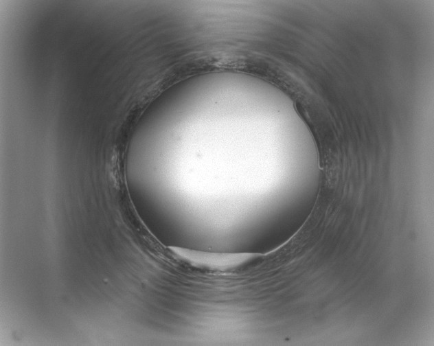 X0000068730748200605192319