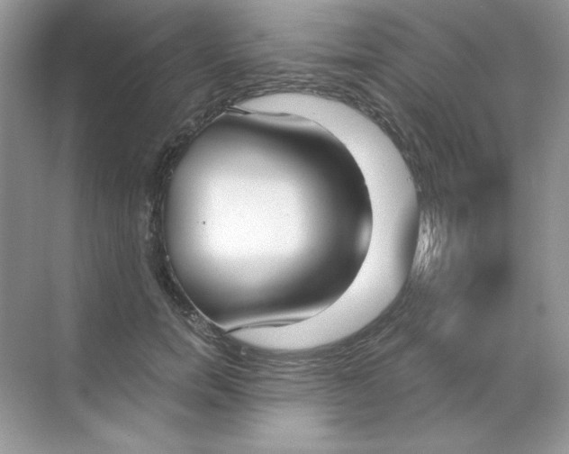 X0000068730750200605192319