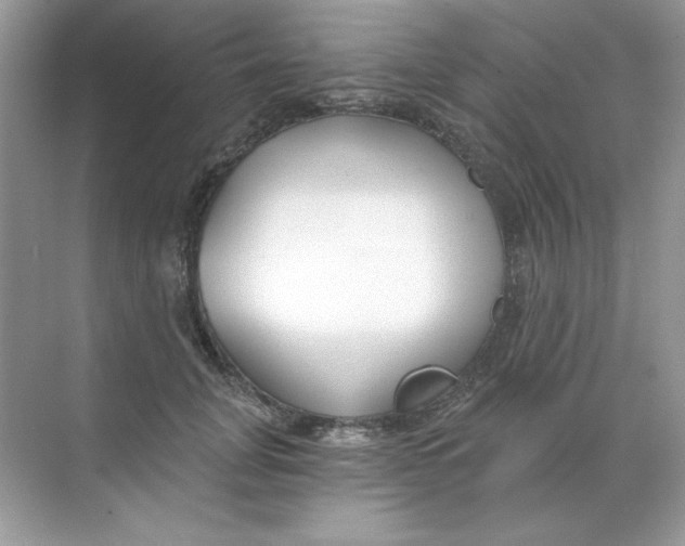 X0000068730751200605192319