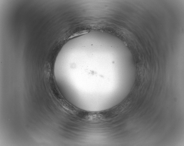 X0000068730752200605192319