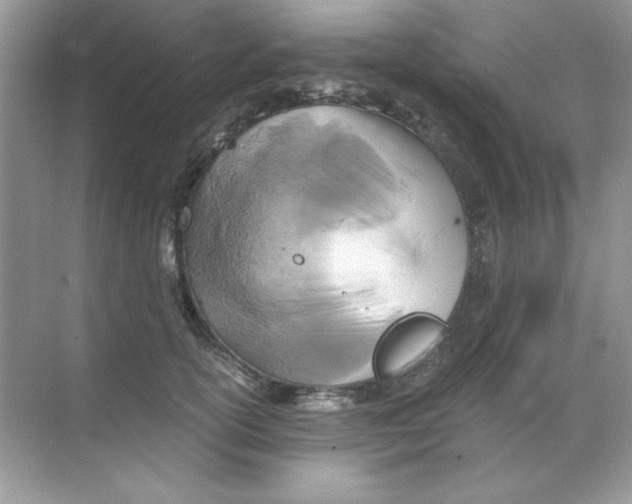 X0000068730754200605192319