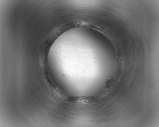 X0000068730760200605192319