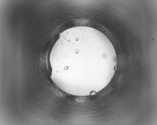 X0000068730761200605192319