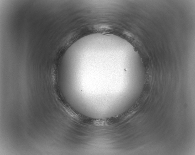 X0000068730762200605192319