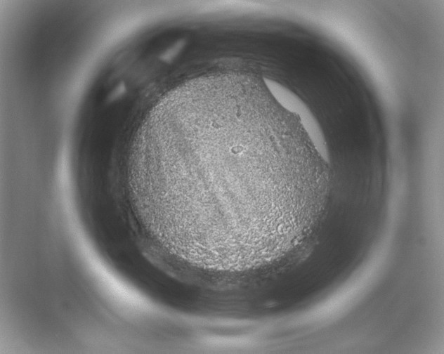 X0000068730765200605192319