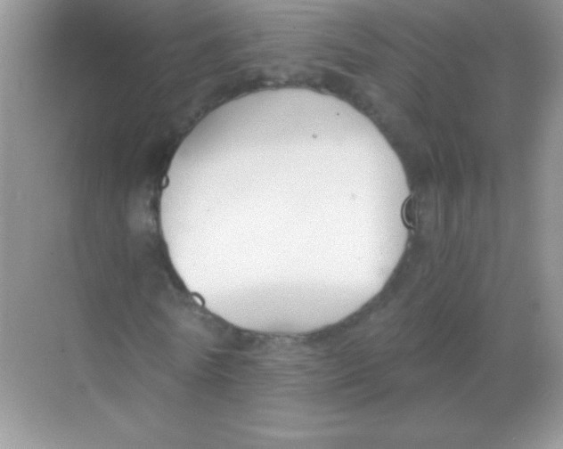 X0000068730770200605192318