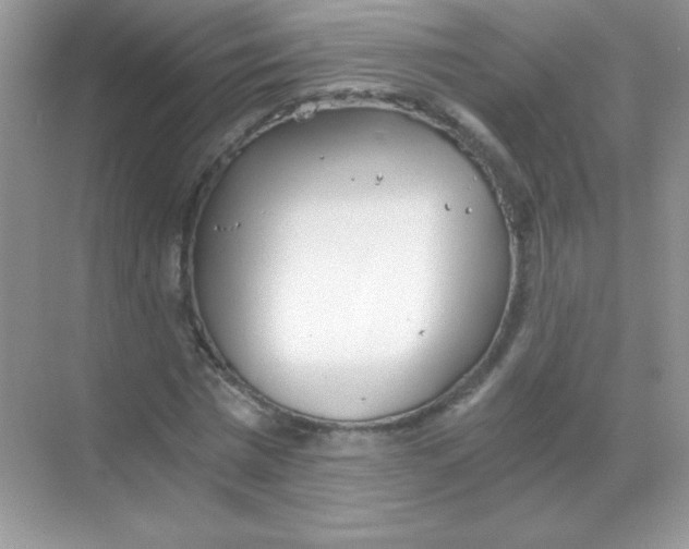 X0000068730777200605192318