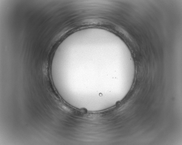 X0000068730778200605192318