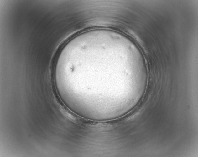 X0000068730779200605192318