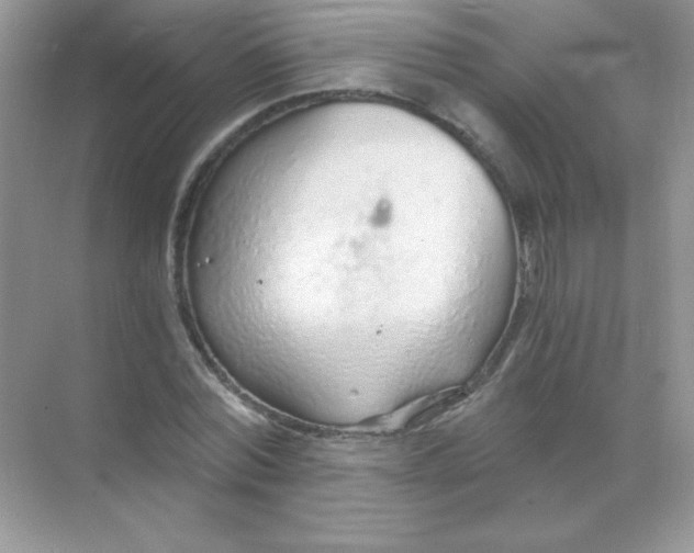 X0000068730780200605192318