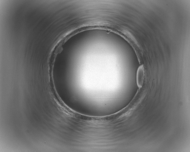 X0000068730781200605192318