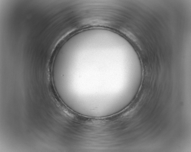 X0000068730782200605192318