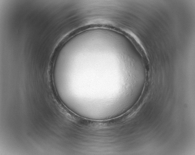 X0000068730783200605192318