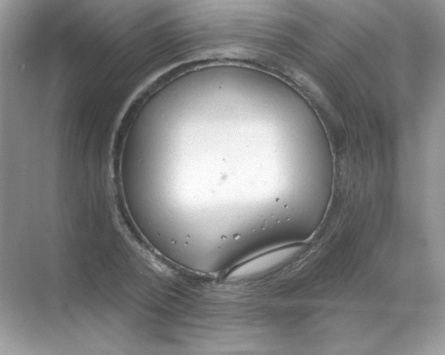 X0000068730784200605192318