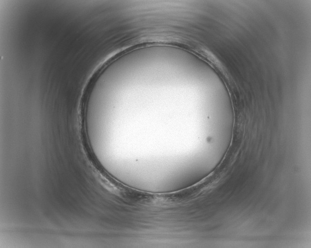 X0000068730787200605192318