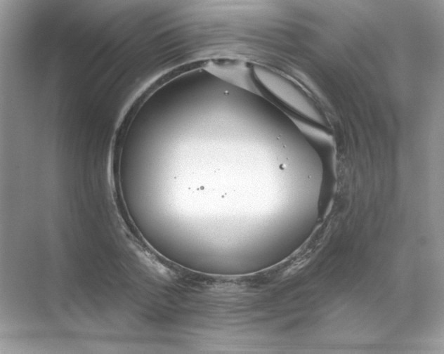 X0000068730788200605192318