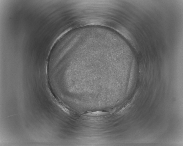 X0000068730790200605192318