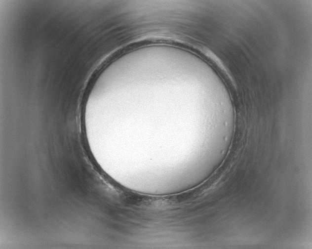 X0000068730791200605192318