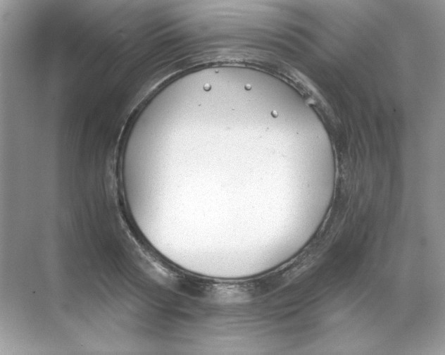 X0000068730794200605192318