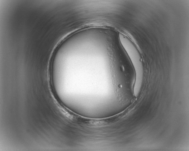 X0000068730795200605192318