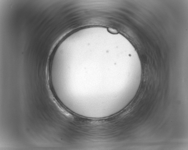 X0000068730796200605192318