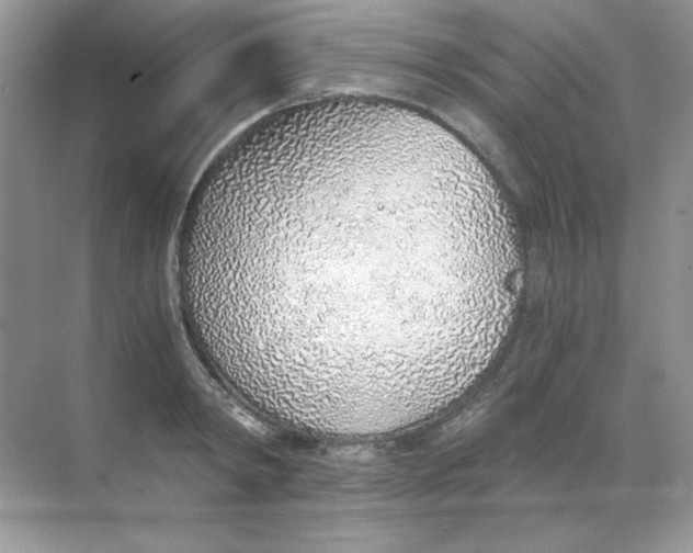 X0000068730798200605192318