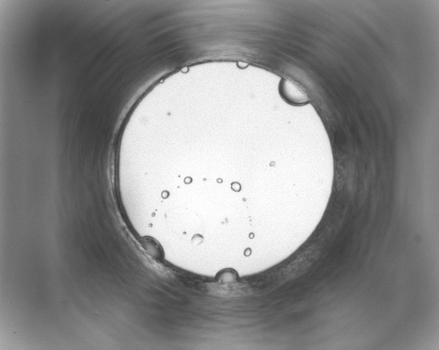 X0000068730804200605192318