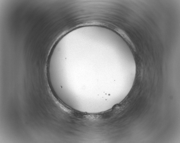 X0000068730805200605192318