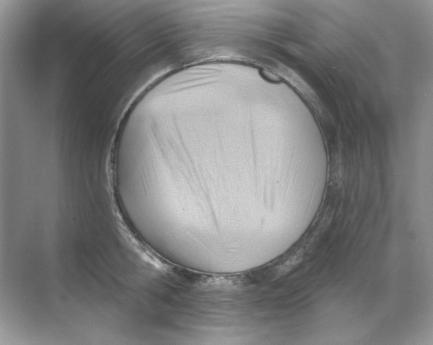 X0000068730806200605192318