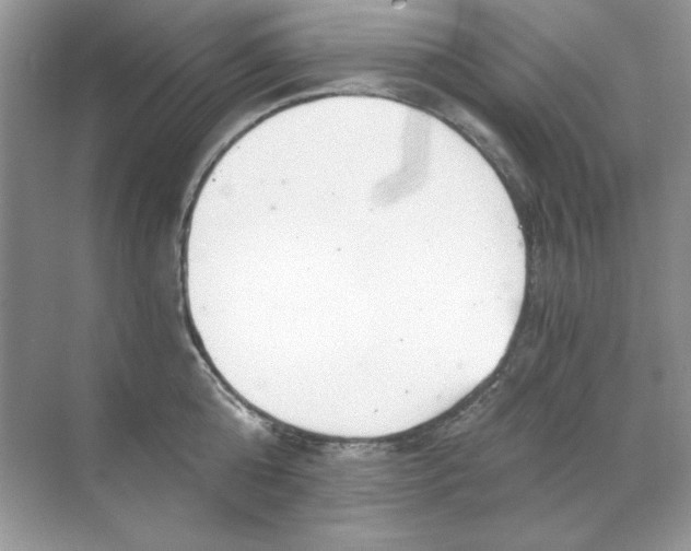 X0000068730808200605192317