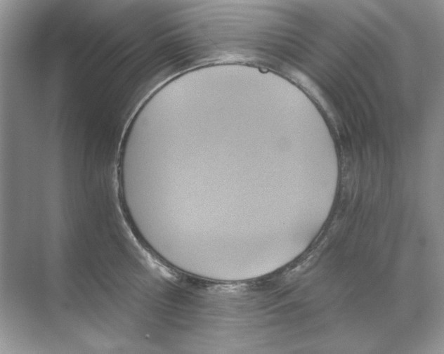 X0000068730810200605192317