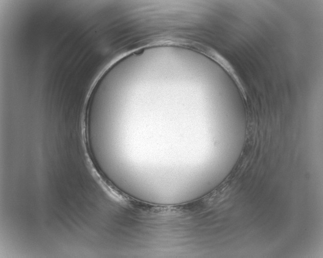 X0000068730811200605192317