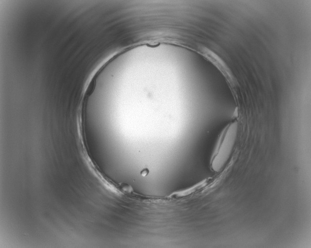 X0000068730812200605192317