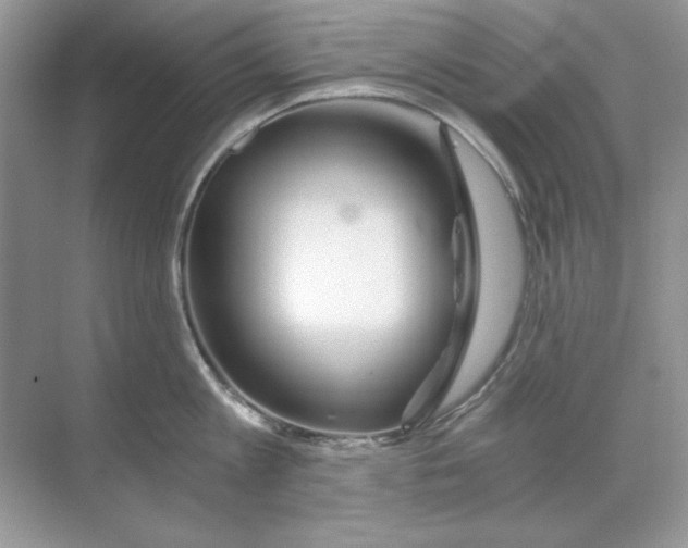 X0000068730813200605192317