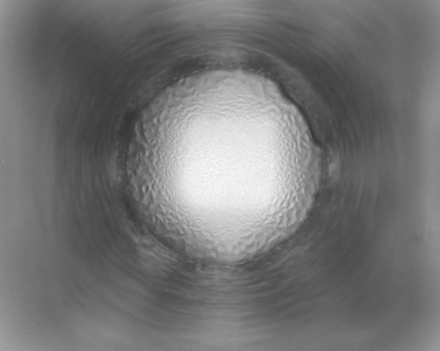 X0000068730819200605192317