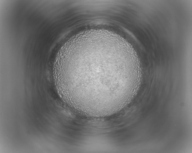 X0000068730823200605192317