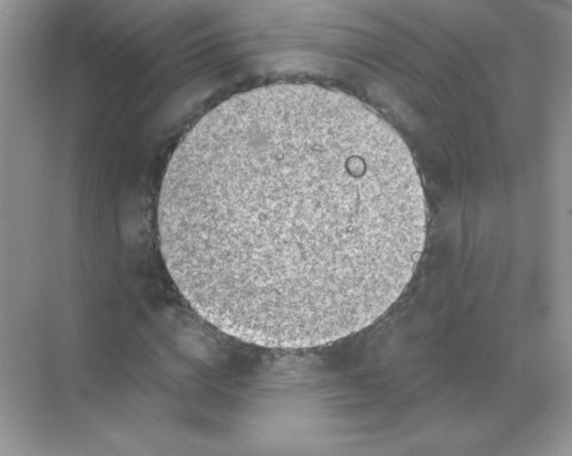 X0000068730824200605192317