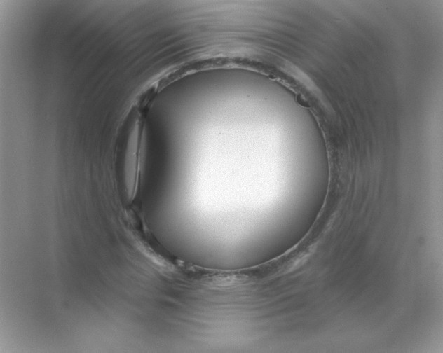 X0000068730826200605192317